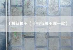 手机待机王（手机待机王哪一款）