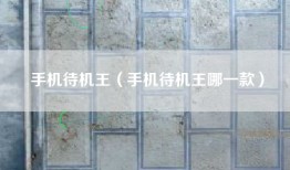 手机待机王（手机待机王哪一款）