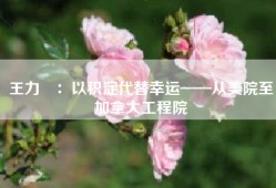 王力翚：以积淀代替幸运——从美院至加拿大工程院