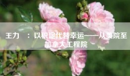 王力翚：以积淀代替幸运——从美院至加拿大工程院
