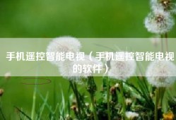手机遥控智能电视（手机遥控智能电视的软件）