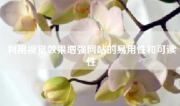 利用视觉效果增强网站的易用性和可读性