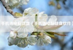 手机连电脑键盘（手机连电脑键盘软件）
