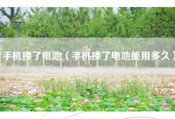 手机换了电池（手机换了电池能用多久）