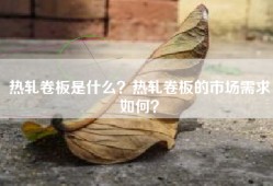 热轧卷板是什么？热轧卷板的市场需求如何？