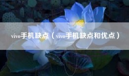 vivo手机缺点（vivo手机缺点和优点）