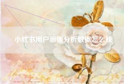 小红书用户画像分析数据怎么找
