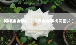 海绵宝宝手机（海绵宝宝手机壳图片）