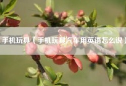 手机玩具（手机玩具汽车用英语怎么说）