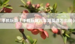 手机玩具（手机玩具汽车用英语怎么说）