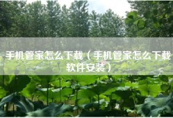 手机管家怎么下载（手机管家怎么下载软件安装）