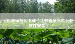 手机管家怎么下载（手机管家怎么下载软件安装）