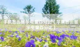 手机怎么显示电量百分比（苹果怎么显示电量百分比）