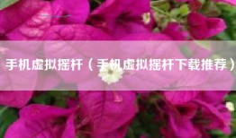 手机虚拟摇杆（手机虚拟摇杆下载推荐）