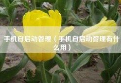 手机自启动管理（手机自启动管理有什么用）
