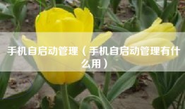 手机自启动管理（手机自启动管理有什么用）