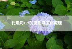 代理和VPN的区别及工作原理