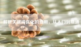 解析关键词优化的费用，从入门到精通