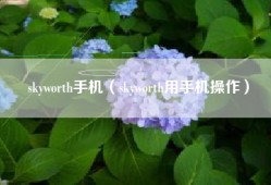 skyworth手机（skyworth用手机操作）