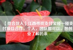 【找合伙人】江西寻找支付宝碰一碰支付项目合作，个人，团队都可以，想创业了解的来