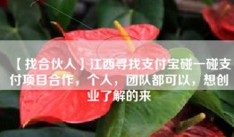 【找合伙人】江西寻找支付宝碰一碰支付项目合作，个人，团队都可以，想创业了解的来