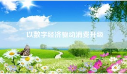 以数字经济驱动消费升级