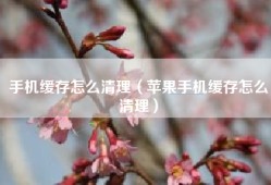 手机缓存怎么清理（苹果手机缓存怎么清理）