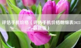 评估手机价格（评估手机价格明细表2023最新版）