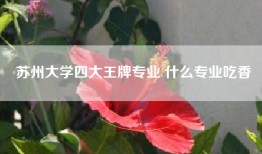 苏州大学四大王牌专业 什么专业吃香