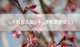 4g手机怎么变5g(4g手机怎样变5g)