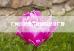 如何投放磁力智投信息流广告