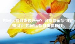 如何运营自媒体账号？自媒体前景到底如何？(如何运营自媒体挣钱)