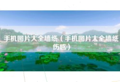 手机图片大全墙纸（手机图片大全墙纸伤感）