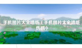 手机图片大全墙纸（手机图片大全墙纸伤感）