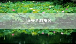 360安全浏览器