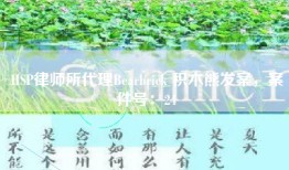 HSP律师所代理Bearbrick 积木熊发案，案件号：24