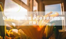 安卓手机网络设置（安卓手机网络设置还原）