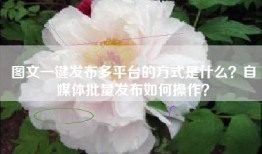 图文一键发布多平台的方式是什么？自媒体批量发布如何操作？