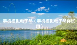 手机模拟电子琴（手机模拟电子琴你试用）