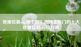 地推拉新app哪个好？市场上热门的十大地推拉新app排行榜