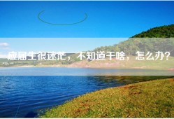 应届生很迷茫，不知道干啥，怎么办？