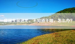 应届生很迷茫，不知道干啥，怎么办？