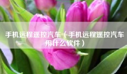 手机远程遥控汽车（手机远程遥控汽车用什么软件）