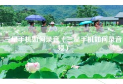 三星手机如何录音（三星手机如何录音频）
