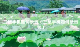 三星手机如何录音（三星手机如何录音频）