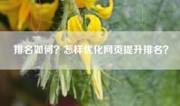 排名如何？怎样优化网页提升排名？