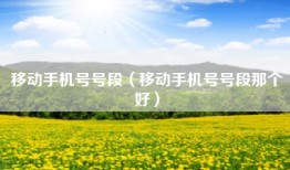 移动手机号号段（移动手机号号段那个好）