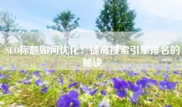 SEO标题如何优化：提高搜索引擎排名的秘诀