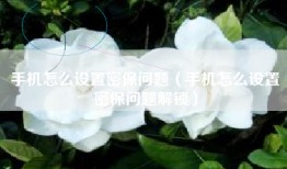 手机怎么设置密保问题（手机怎么设置密保问题解锁）