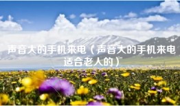 声音大的手机来电(声音大的手机来电适合老人的)